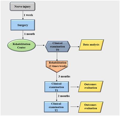 Early post-surgical rehabilitation and functional outcomes of a traumatic ulnar nerve injury: a pediatric case report